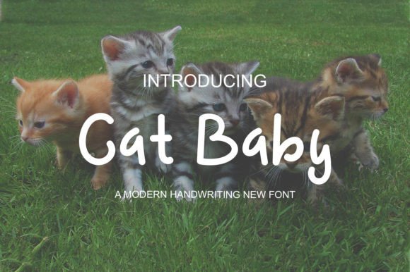 Unleashing Joy in Design: The Complete Guide to the Cat Baby Display Font